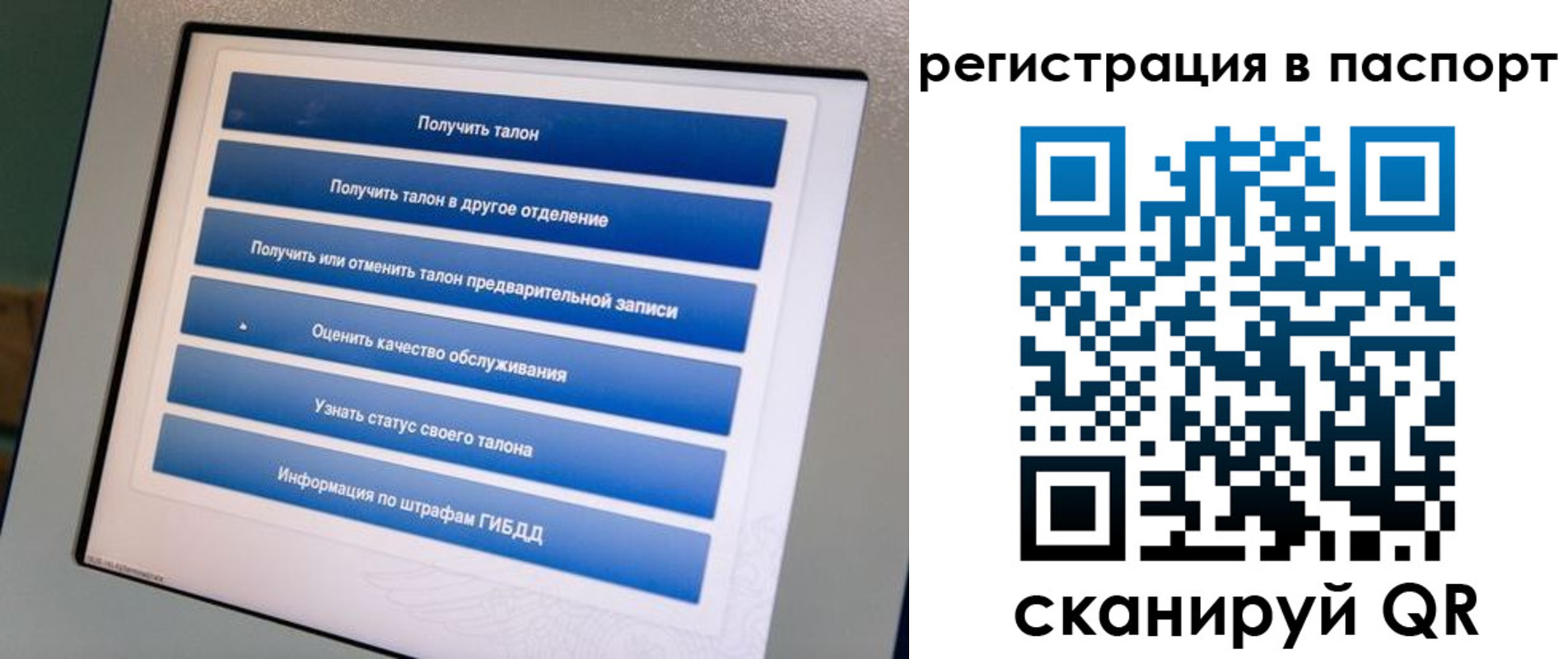 временная регистрация адрес в Снежногорске